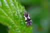 287938 – Photo : Pierre Duhem – France (29)