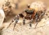 287805 – Photo : Raphaël Grellety – France (13)