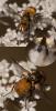 287349 – Photo : éric Pensa – France (13)