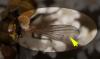 287454 – Photo : éric Pensa – France (13)