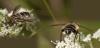 287621 – Photo : Pensa Théo – France (05)