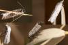 287036 – Photo : éric Pensa – France (13)