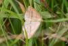 288840 – Photo : Pierre Duhem – France (29)