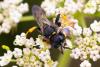 288856 – Photo : Pierre Duhem – France (29)
