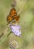 288917 – Photo : pierre juliand – France (07)