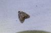 288228 – Photo : Cyril FORCHELET – France (33)