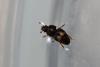 289914 – Photo : Pierre Duhem – France (29)