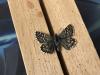 289874 – Photo : Limenitis78 – France (04)