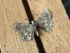 289877 – Photo : Limenitis78 – France (04)