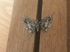 289892 – Photo : Limenitis78 – France (04)