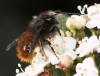 29386 – Photo : Pierre Duhem – France (75)