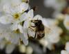 29984 – Photo : FATON Jean-Michel – France (26)