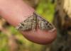 29249 – Photo : Vincent Lefebvre – France (91)