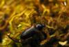 29843 – Photo : Vincent Lefebvre – France (91)