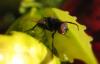 29546 – Photo : Cecile Bassaglia – France (94)