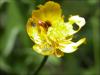 29473 – Photo : gaelle vandersarren – France (78)