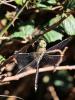290447 – Photo : Danièle Tixier-Inrep – France (13)