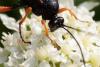 290476 – Photo : Pierre Duhem – France (29)