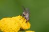 290844 – Photo : Pierre Duhem – France (95)
