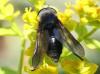 290814 – Photo : Marc Thibault – France (13)