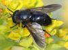 290820 – Photo : Marc Thibault – France (13)