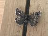 290012 – Photo : Limenitis78 – France (83)
