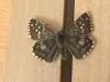 290095 – Photo : Limenitis78 – France (04)