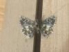 290100 – Photo : Limenitis78 – France (04)