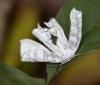 290312 – Photo : lguez – Thaïlande