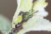291051 – Photo : Pierre Duhem – France (95)