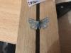 291495 – Photo : Limenitis78 – France (04)
