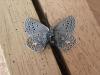 291551 – Photo : Limenitis78 – France (83)