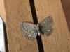 291553 – Photo : Limenitis78 – France (83)