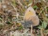 291445 – Photo : BourrinOman – France (05)