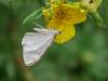 291541 – Photo : BourrinOman – France (05)