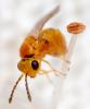292697 – Photo : André Burgers – Espagne