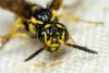 292702 – Photo : André Burgers – Espagne