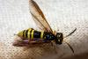 292701 – Photo : André Burgers – Espagne