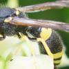 292845 – Photo : Didier Houbrechts – Belgique