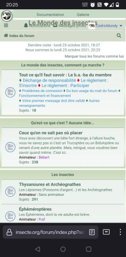 Indéterminé