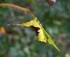 293430 – Photo : David – France (89)