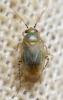 293486 – Photo : André Burgers – Espagne