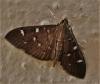 293349 – Photo : jpjepilou – Bénin