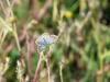 293113 – Photo : Manu94 – France (41)
