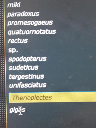 Indéterminé