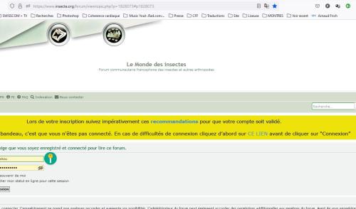 Indéterminé