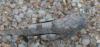 294181 – Photo : Christian Berquer – France (20)