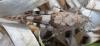 294288 – Photo : Christian Berquer – France (20)