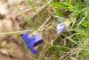 294144 – Photo : Jessica Joachim – France (09)