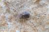 294473 – Photo : Bernard Nogues – France (83)